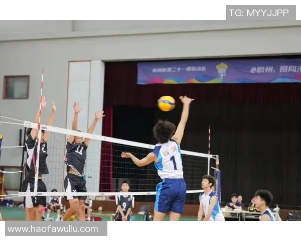 杭州排球队荣登全国排球团队协作排行榜第一名展现卓越团队精神与实力