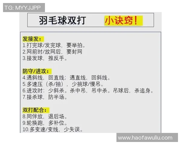 深入分析成都羽毛球队区域防守战术及其在比赛中的应用效果
