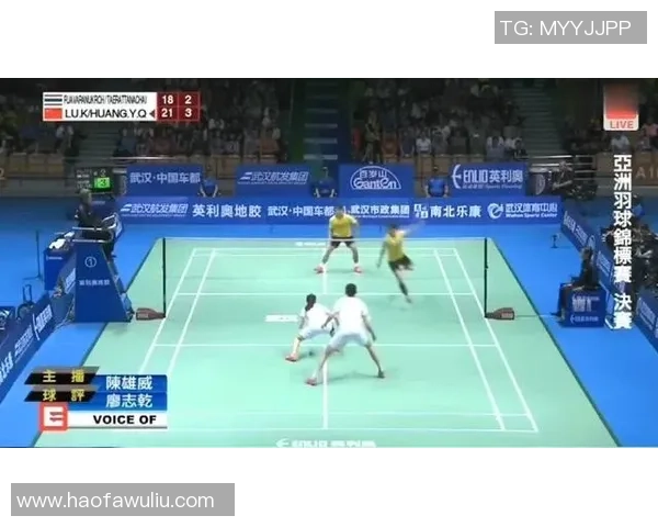 深圳羽毛球队奋勇争先的城市联赛之路与辉煌成就回顾 深圳羽毛球队奋勇争先的城市联赛之路与辉煌成就回顾