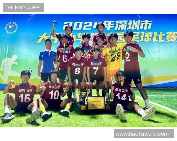 深圳足球队整体压制革新探讨与未来发展展望 深圳足球队整体压制革新探讨与未来发展展望