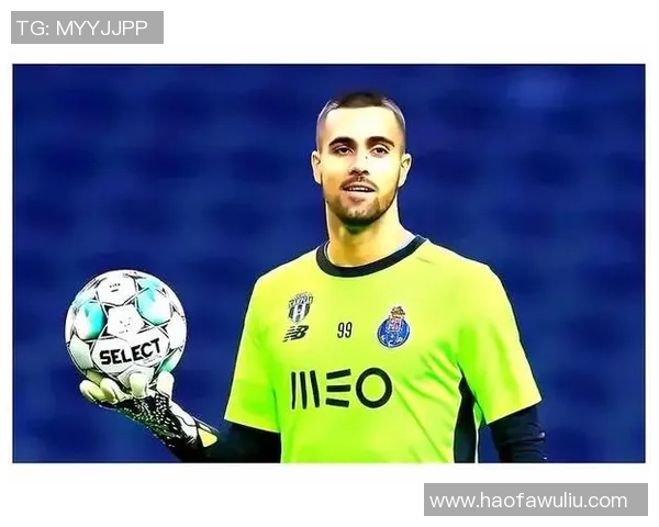 足球明星中谁的飞翔能力最强谁的鸟最大揭秘与比较