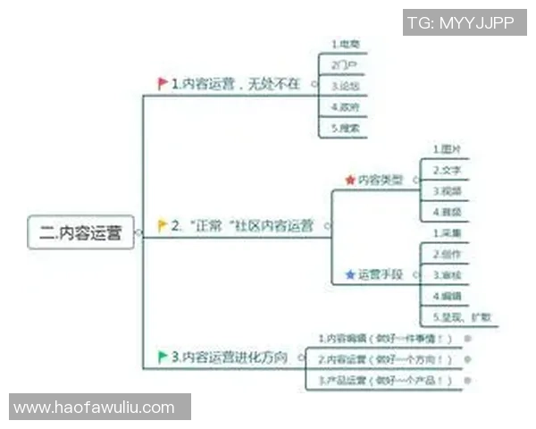足球明星社交媒体账号运营策略与粉丝互动提升方案解析 足球明星社交媒体账号运营策略与粉丝互动提升方案解析