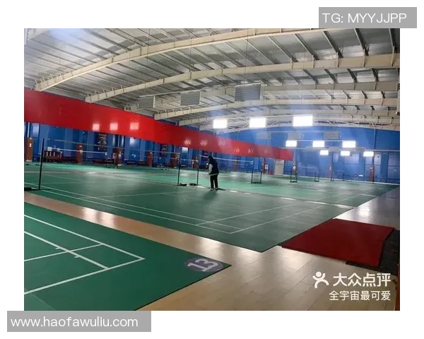 邀请赛点评:深圳羽毛球队的个人能力表现 邀请赛点评:深圳羽毛球队的个人能力表现