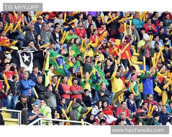 韩国足球明星精彩表演引发热潮球迷热情高涨共同见证足球魅力 韩国足球明星精彩表演引发热潮球迷热情高涨共同见证足球魅力