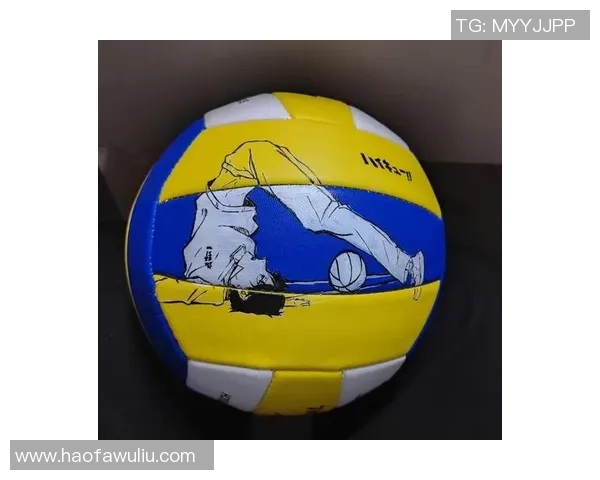 从零开始：排球速度完全攻略