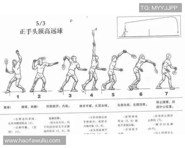 羽毛球战术：杭州羽毛球队的防反体系