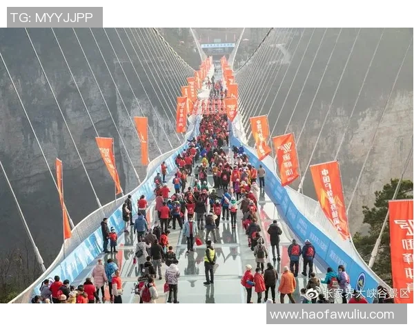 2026极限运动团队协作排名：北京极限运动队创新高