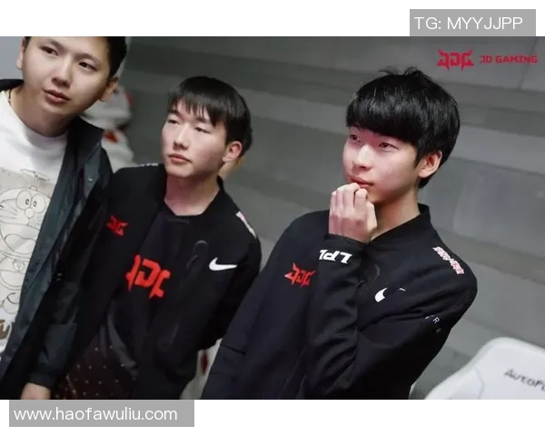 专业解读：JDG的进攻打法