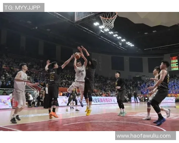 最新篮球节奏TOP10：杭州篮球队领跑