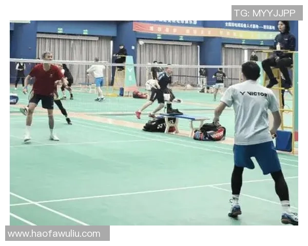 羽毛球战术：重庆羽毛球队的阵地战体系_1