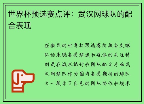 世界杯预选赛点评：武汉网球队的配合表现