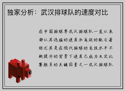 独家分析：武汉排球队的速度对比
