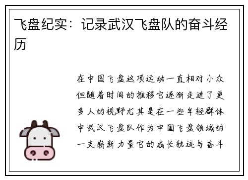 飞盘纪实：记录武汉飞盘队的奋斗经历