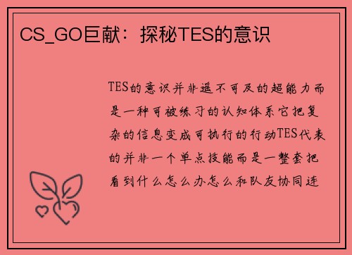 CS_GO巨献：探秘TES的意识