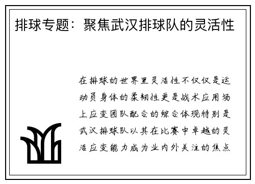 排球专题：聚焦武汉排球队的灵活性